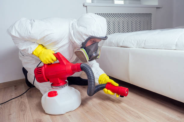 Best Pest Control for Homes  in Acworth, GA