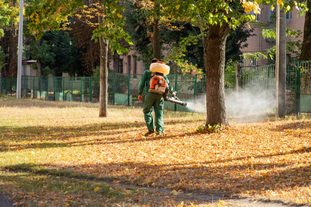 Best Wasp Removal Services  in Acworth, GA