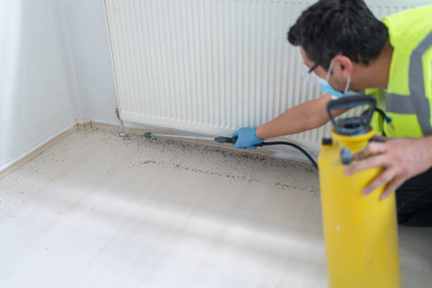 Best Pest Inspection Near Me  in Acworth, GA