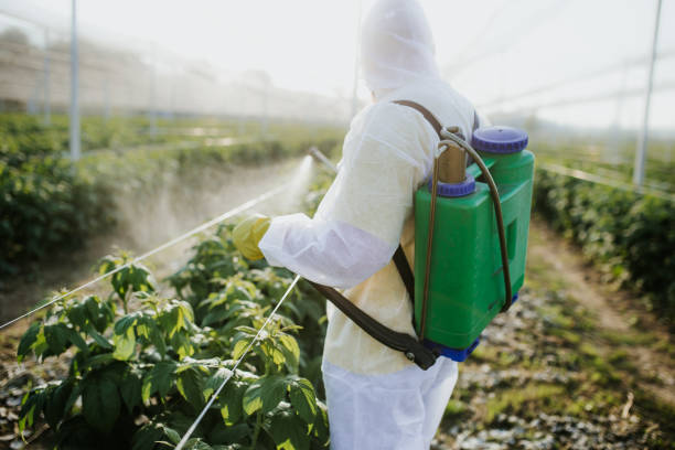Best Emergency Pest Control  in Acworth, GA